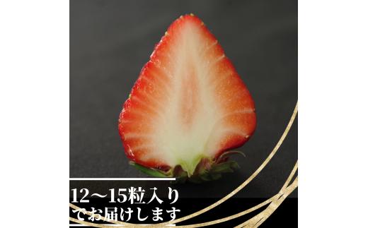 いちご 紅ほっぺ  贈答用 大粒 12～15粒入り 約350g  冷蔵 朝採れ 苺 春 旬 四国 徳島 小松島 期間限定 産地直送 フレッシュ イチゴ フルーツ 果物 国産 ふるさと人気 限定出荷 い