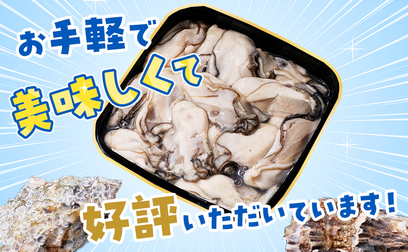 【 4ヵ月 定期便 】牡蠣 北海道 厚岸産 牡蠣むいちゃいました！ 生食用 500g (各回500g×4ヶ月分,合計2kg)