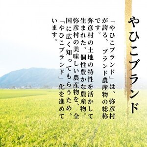 【お試し】令和7年産 特別栽培米コシヒカリ「伊彌彦米」精米 2kg 新潟県産弥彦村【1704699】