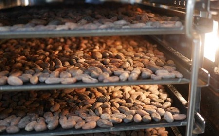 LISAチョコレート マイルド＆ビター 2枚セット (カカオ70％・80%)【 チョコ スイーツ お菓子 ギフト プレゼント 贈答品 有機 カカオ 黒糖 無添加 手作り バレンタインデー ホワイトデー