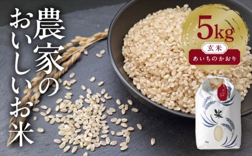 特別栽培米 あいちのかおり 玄米 5kg お米 ご飯 愛知県産 米 玄米 愛西市 ／ 株式会社TONORI [AECT026]
