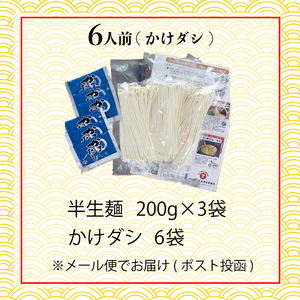 讃岐うどん 半生 6人前 かけダシ さぬきうどん