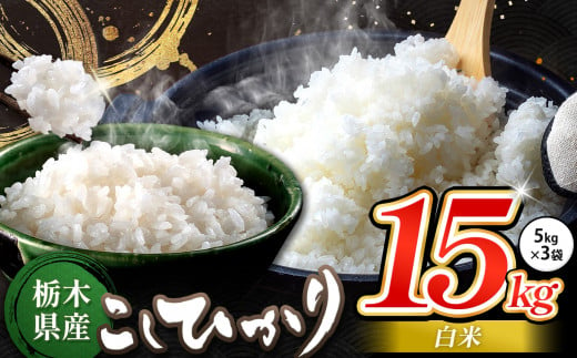 栃木県産 コシヒカリ 白米 15kg | お米 こめ ご飯 ごはん おにぎり おむすび 米 送料無料 定期便 単品 こしひかり 栃木県 銘柄米 ブランド米 栃木県共通返礼品