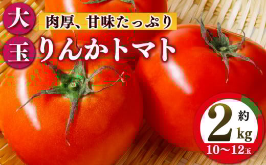 トマト約2kg 10玉～12玉   | ヤサイ 野菜 やさい トマト とまと 野菜 奈良県 五條市
