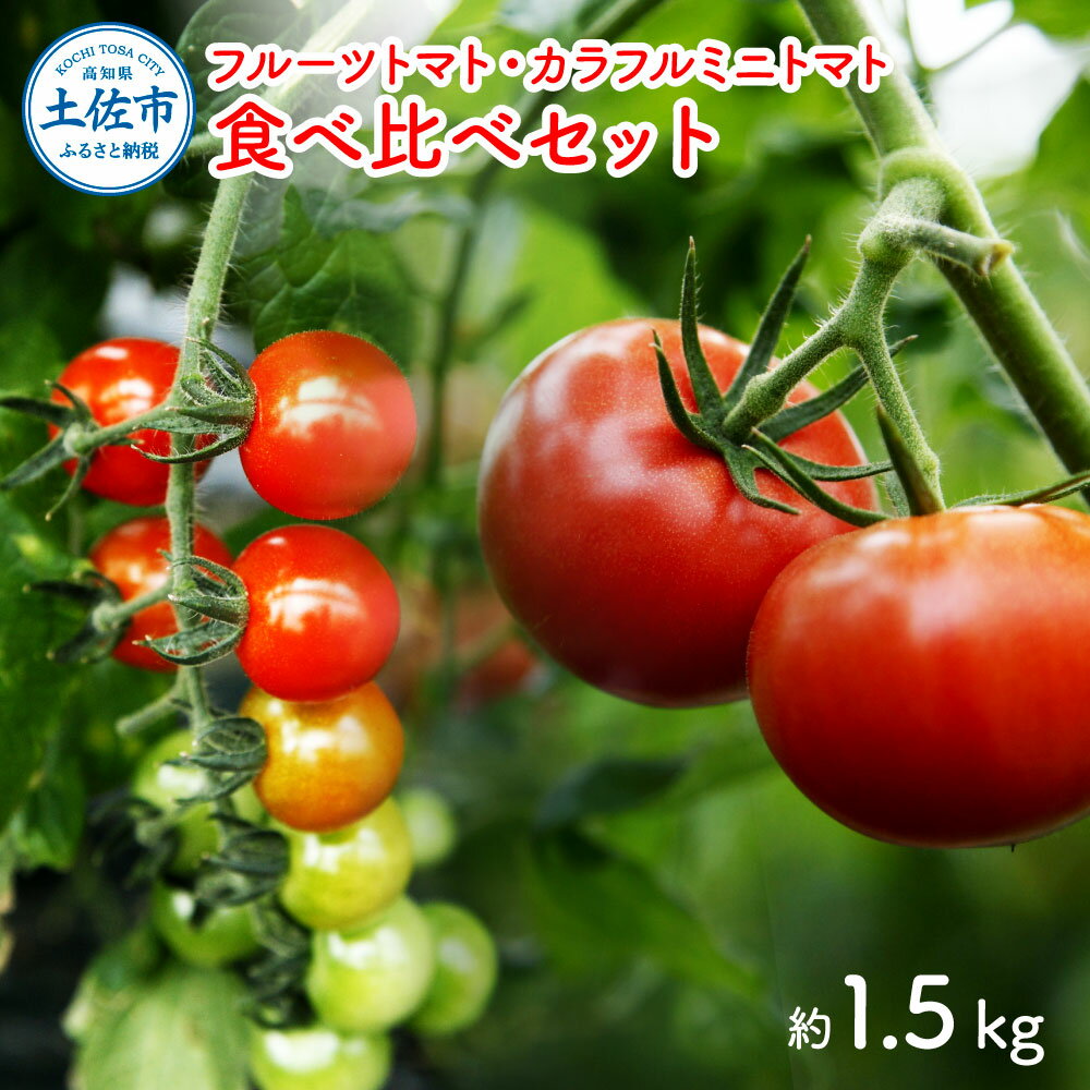 【ふるさと納税】フルーツトマト食べくらべセット 1.5kg トマト フルーツトマト 糖度 ミニトマト 詰め合わせ セット ふるーつとまと フルーツミニトマト カラフル トマト とまと 美味しい 高知県産 故郷納税 ふるさとのうぜい 返礼品 高知県 高知 20000円