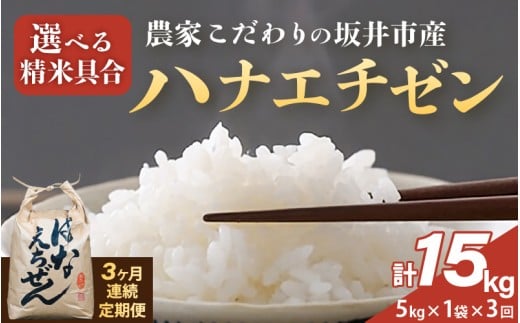 定期便 ≪3ヶ月連続お届け≫ 【令和7年産】農家こだわりの坂井市産 ハナエチゼン 5kg × 3回 (計15kg) 【白米】 【米 コメ お米 華越前 5キロ ふるさと納税米 ブランド米 国産】 [E-10201_01]