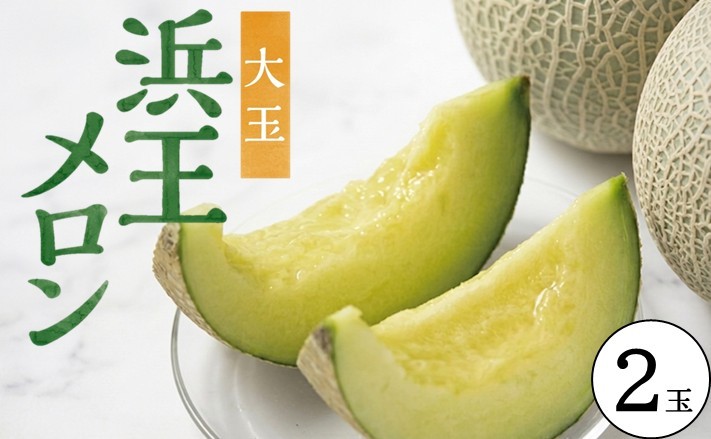 
                  庄内砂丘 浜王メロン 大玉 2玉 計2.8kg以上 6月下旬～7月下旬頃お届け メロン 青肉メロン 果物 フルーツ 東北 山形県 酒田市 庄内 夏 木川果実店　SA2923
                