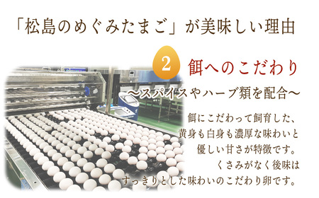 松島のめぐみたまご　40個入り　3ヵ月定期便 No.163