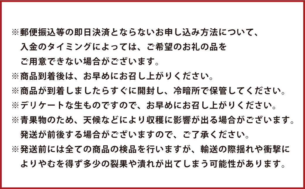 【年3回定期便】【2024年7月上旬発送開始】 くまもと 夏秋 フルーツ 定期便 ( 巨峰 ・ 梨 ・ 柿 )  