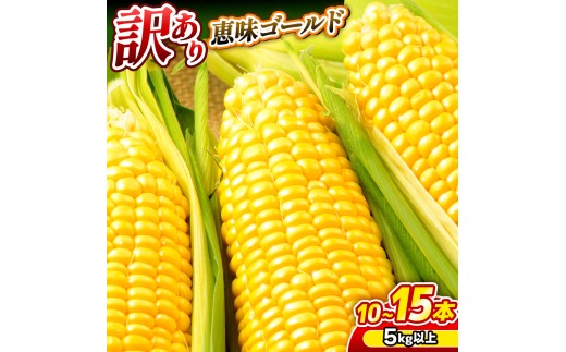 【2026年収穫分先行予約】【訳あり】富士山 恵味ゴールド トウモロコシ　10～15本