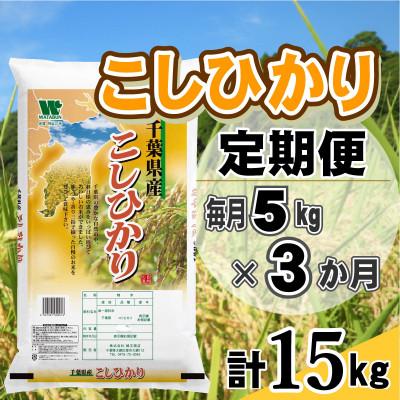 ふるさと納税 大網白里市 【毎月定期便】コシヒカリ 精米 5kg (5kg×1袋)全3回