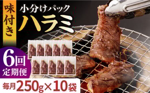 【全6回定期便】ハラミ【塩だれ】九州産和牛ハラミ 2.5kg（250g×10袋）長与町/岩永ホルモン [EAX090] 国産 牛肉 ハラミ 牛ハラミ はらみ 小分け 味付き サガリ 焼肉 焼き肉 塩 しお 冷凍 焼肉 焼き肉 やきにく 九州 定期便 ていきびん 定期