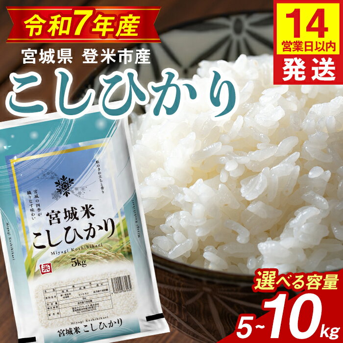 【ふるさと納税】【14営業日以内に発送予定】≪令和7年産≫ コシヒカリ 5kg〜10kg 選べる容量 登米市産 お米 おこめ 米 コメ こしひかり 白米 ご飯 ごはん おにぎり お弁当 【登米ライスサービス株式会社】tm634・tm635