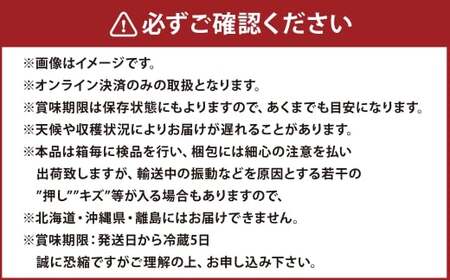 2025年 先行予約受付中【2回定期便】シャインマスカット晴王 約2kg(3～5房)岡山県産 種無し 皮ごと食べる みずみずしい 甘い フレッシュ 瀬戸内 晴れの国 おかやま 果物大国 ハレノフルーツ