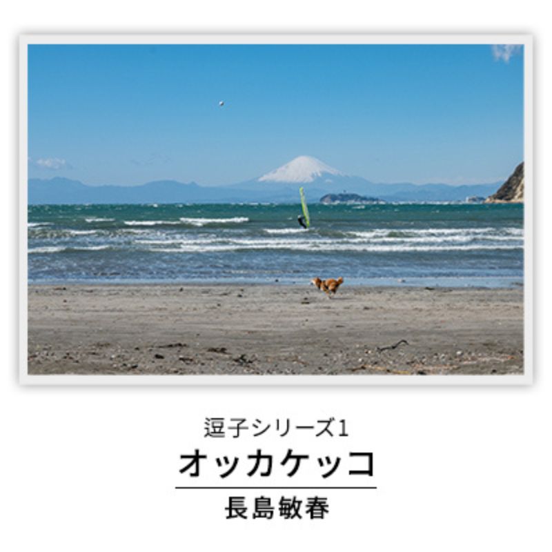 【ふるさと納税】写真家長島敏春　オリジナルプリント「逗子シリーズ1　オッカケッコ」フレーム付き　写真・オリジナルプリント・逗子シリーズ1・オッカケッコ・フレーム付き・長島敏春・石井仁志・逗子・サイン