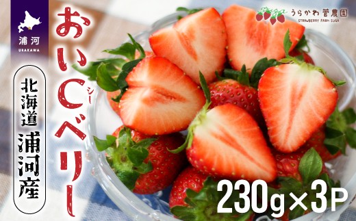 
            【先行受付開始！】北海道浦河産いちご「おいCベリー」230g×3P[13-1127]
          