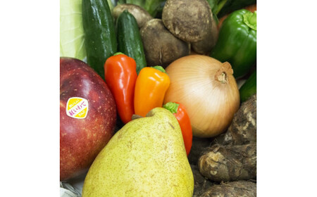  【定期便6ヶ月】イーハトーヴ野菜C もりもりセット 11品～ 詰め合わせ【1209】