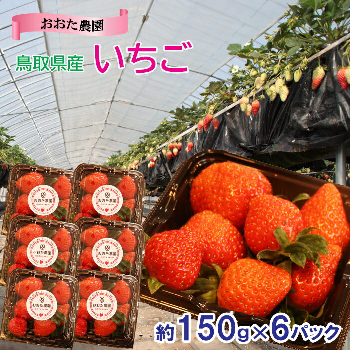 【ふるさと納税】【先行予約】鳥取県産 いちご　約150g×6パック　OT03