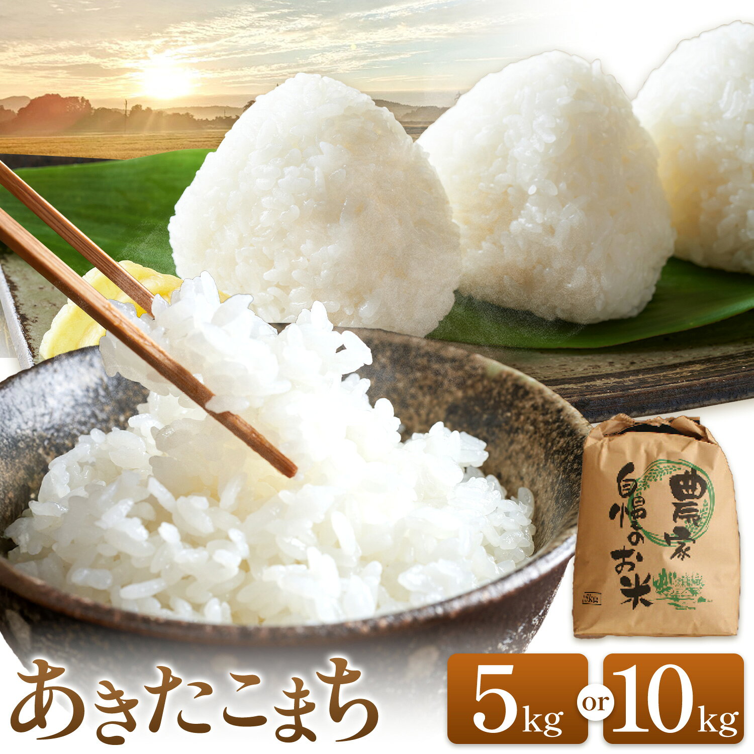 【ふるさと納税】米 あきたこまち 白米 選べる 5kg 10kg《9月下旬-12月上旬頃出荷予定》長野県 信濃町 送料無料 お米 こめ あきたこまち お取り寄せ