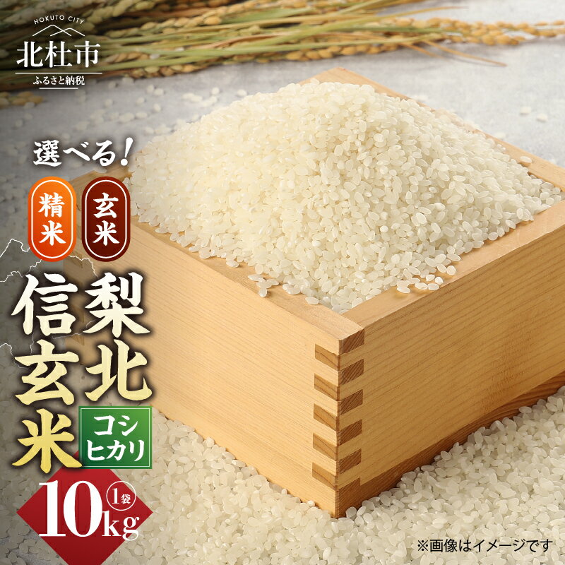 【ふるさと納税】 お米 米 10kg コシヒカリ 選べる種類 精米 玄米 梨北信玄米コシヒカリ 粘り 山梨最大の米処 北杜市武川町産 送料無料 【令和7年度新米】