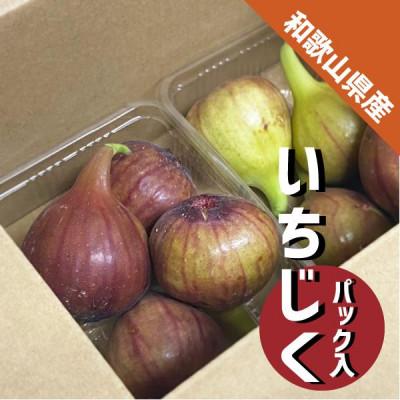 ふるさと納税 紀の川市 【秀品】いちじく 紀の川市産 2パック