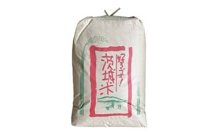 【令和7年産】茨城県産コシヒカリ 玄米 30kg お米 米 コメ こめ おこめ ごはん ご飯 コシヒカリ こしひかり 茨城県 守谷市