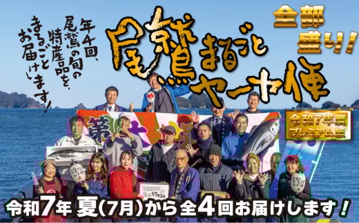 【オプション全部盛り！】「オール尾鷲」の大人気まちおこし通販便（年4回）尾鷲まるごとヤーヤ便（年４便）　YA-9