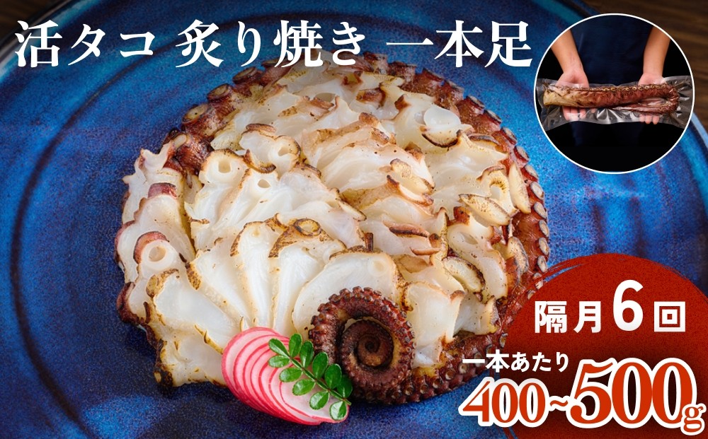 
                  活タコ 炙り焼き 一本足 定期便 隔月 1本 6回 タコ たこ 直火焼き おかず おつまみ 蛸 刺身
                