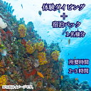 【ふるさと納税】 ダイビング 宿泊 体験 ビーチ スポーツ マリンスポーツ 宿泊 下関 山口