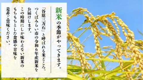【新米先行予約開始！ / 12月上旬出荷分】《 令和6年産 》茨城県産 米 2種 食べ比べ セット 精米 20kg （ コシヒカリ 10kg +その他1種）【各月 数量限定】　こしひかり 米 コメ