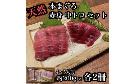 
貴重な天然本鮪 赤身 約200g 中トロ 約200g 各2柵ずつ 4〜5人前●赤身はマグロの中心部天身を使用！中とろの脂はくどくない上質な脂！【赤身 天身 惣菜 海鮮 お取り寄せ 御中元 お中元 お歳暮 父の日 母の日 贈り物 日本酒 焼酎】【神奈川県小田原市早川】
