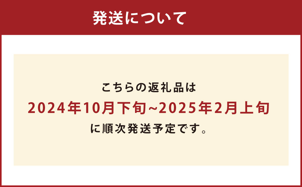 みかん 【規格外品】ご家庭用 約6kg サイズ不選別