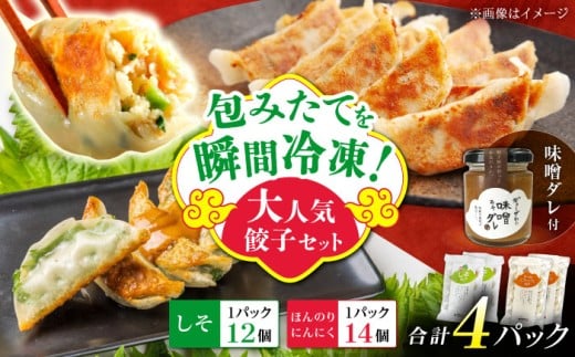 【計4パック】餃子屋ヒロの大人気餃子セット＋特製味噌ダレ付【餃子屋ヒロ】国産 肉 餃子 ぎょうざ ギョーザ ギョウザ 冷凍餃子 小分け 人気 餃子 おすすめ 餃子 冷凍 おかず おつまみ 名店 ご当地グルメ 神奈川県 開成町 [BDAS009-2]