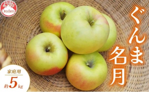 
                  【2026年10月～発送】ぐんま名月 家庭用 約5kg りんご リンゴ 林檎 果物 フルーツ 長野県 長野 山ノ内町
                
