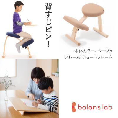 ふるさと納税 美濃市 バランスイージー ショート[ベージュ]+イージーライティングボードL【複数個口で配送】