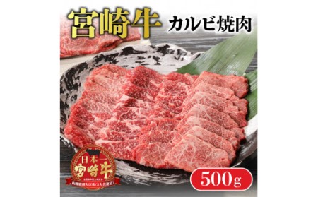 宮崎牛カルビ焼肉 500g　N0140-ZA2215