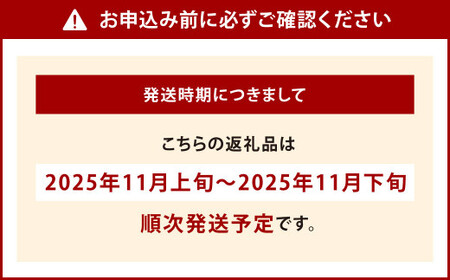 福岡県産 博多秋王【優等品】 約3.5kg以上（8玉～12玉入り）【2025年11月上旬～11月下旬発送予定】柿 かき 秋王 果物 フルーツ くだもの 先行予約