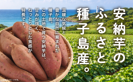 《4月から8月までの期間限定》安納干芋【有限会社ANNOU】