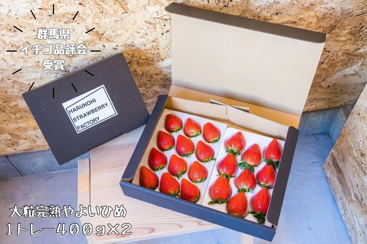 大粒完熟　群馬県産いちご「やよいひめ」400g×2 計800g｜コク 甘み 朝採れ やよいひめ 大粒 甘み 酸味 バランス 贈答用 新鮮 完熟 いちご 旬 苺 ストロベリー 産地直送 果汁 甘い あまい 人気 高評価 減農薬 美容 健康 旨味 高糖度 ごほうび 群馬県 前橋市