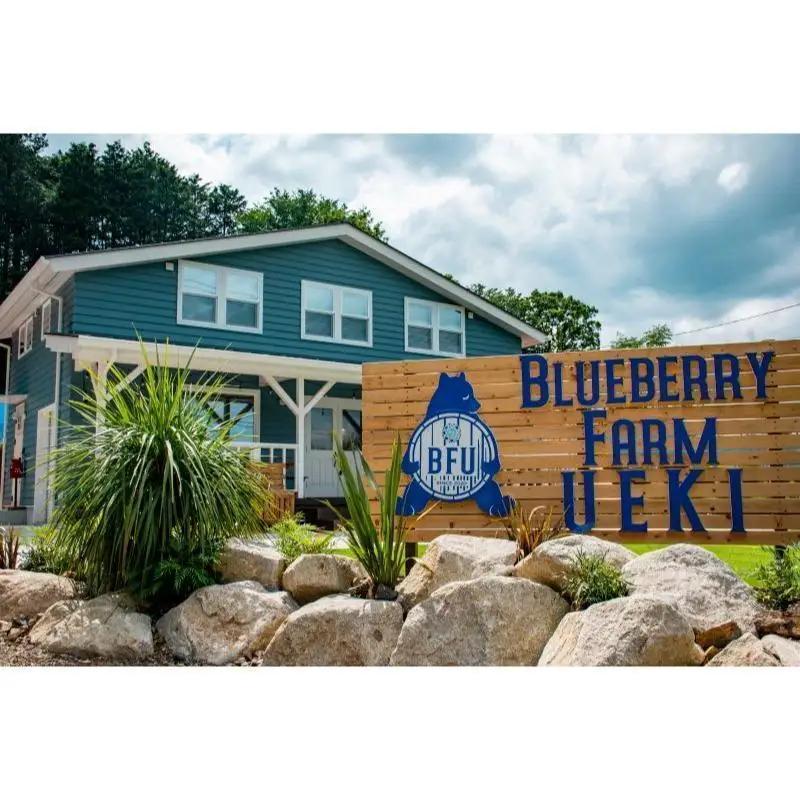 BULE BERRY FARM UEKI 施設利用券 30０００円分