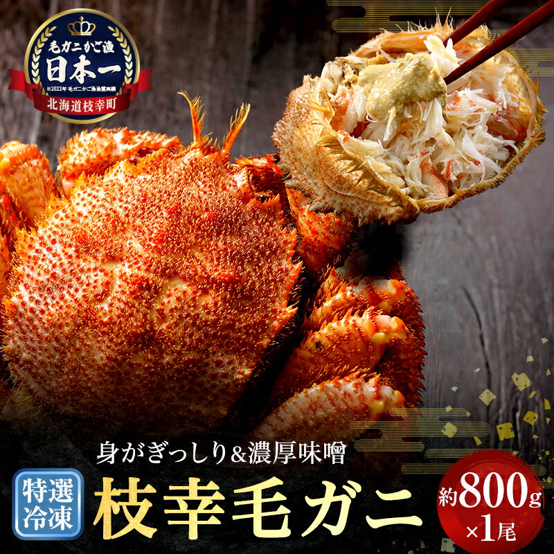 【ふるさと納税】【漁獲量日本一】至福の逸品！特選冷凍「枝幸毛がに」約800g×1尾 毛蟹 毛ガニ オホーツク 北海道加工食品 地域のお礼の品 カタログ 毛カニ