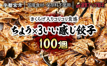 宇都宮餃子 運気アップ餃子  ちょう×3いい感じ餃子 90個 保存料不使用【 餃子 ぎょうざ 冷凍餃子 冷凍食品 惣菜 栃木県 宇都宮市 】※配送不可地域：離島
