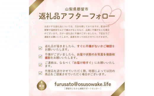 【2025年 先行予約】もぎたて発送！山梨県産 ヤングコーン 30本【栄養たっぷりヒゲ付き！】