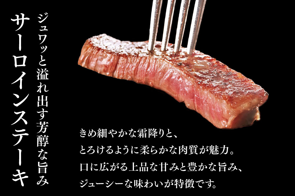 佐賀牛 サーロインステーキ 200g×4枚【佐賀牛 サーロインステーキ サーロイン ステーキ肉 濃厚 サシ 美味しい 絶品 やわらか クリスマス パーティー イベント お祝い ブランド肉】K03014