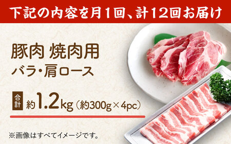 【12回定期便】豚肉 焼肉用（バラ・肩ロース）約1.2kg（4pc）【吉里精肉】[ZEW098]