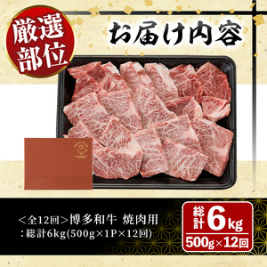 ＜全12回定期(毎月)＞博多和牛焼肉用(総計6kg)牛肉 黒毛和牛 国産 BBQ 化粧箱 贈答 ギフト プレゼント 定期便＜離島配送不可＞【ksg1721】【MEATPLUS】