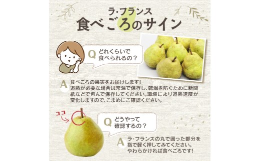 ≪先行受付≫ラフランス 5kg 14個～20個【2026年11月上旬～順次発送予定】