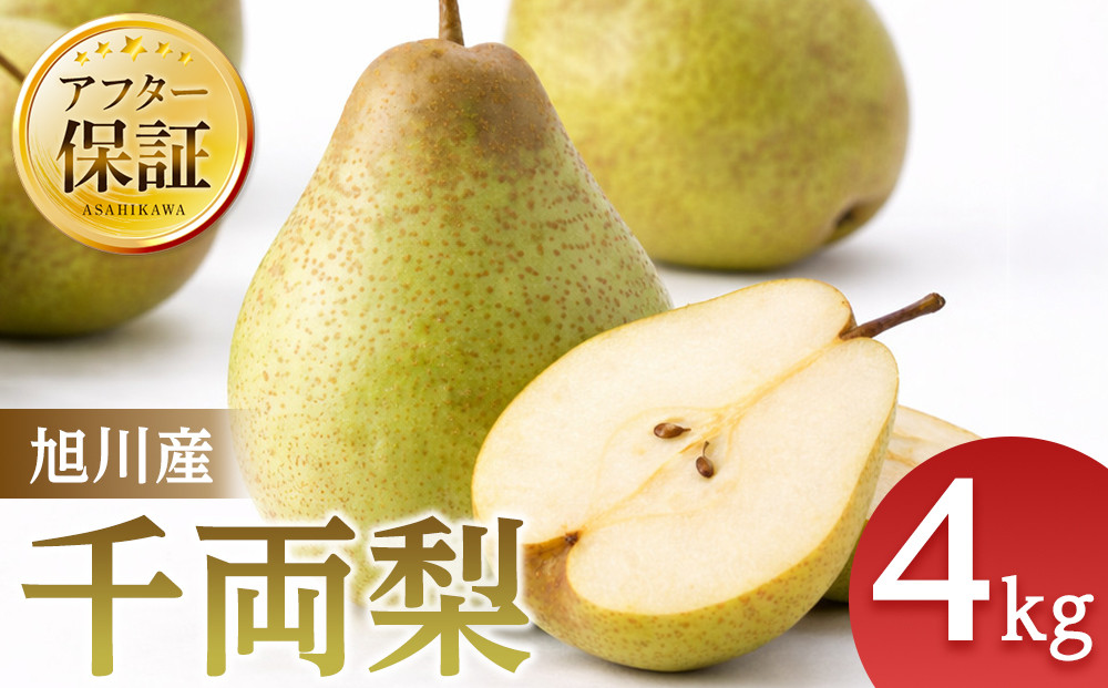 【先行予約】旭川産千両梨4kg(2026年10月中旬発送開始予定)_05721