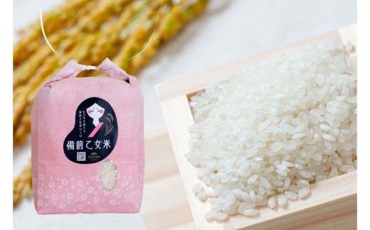 令和8年産 新米 先行予約 備前乙女米 白米2kg×1袋 岡山県産 | 米 お米 白米 精米 特A きぬむすめ 石原果樹園 【ishk054-01】
