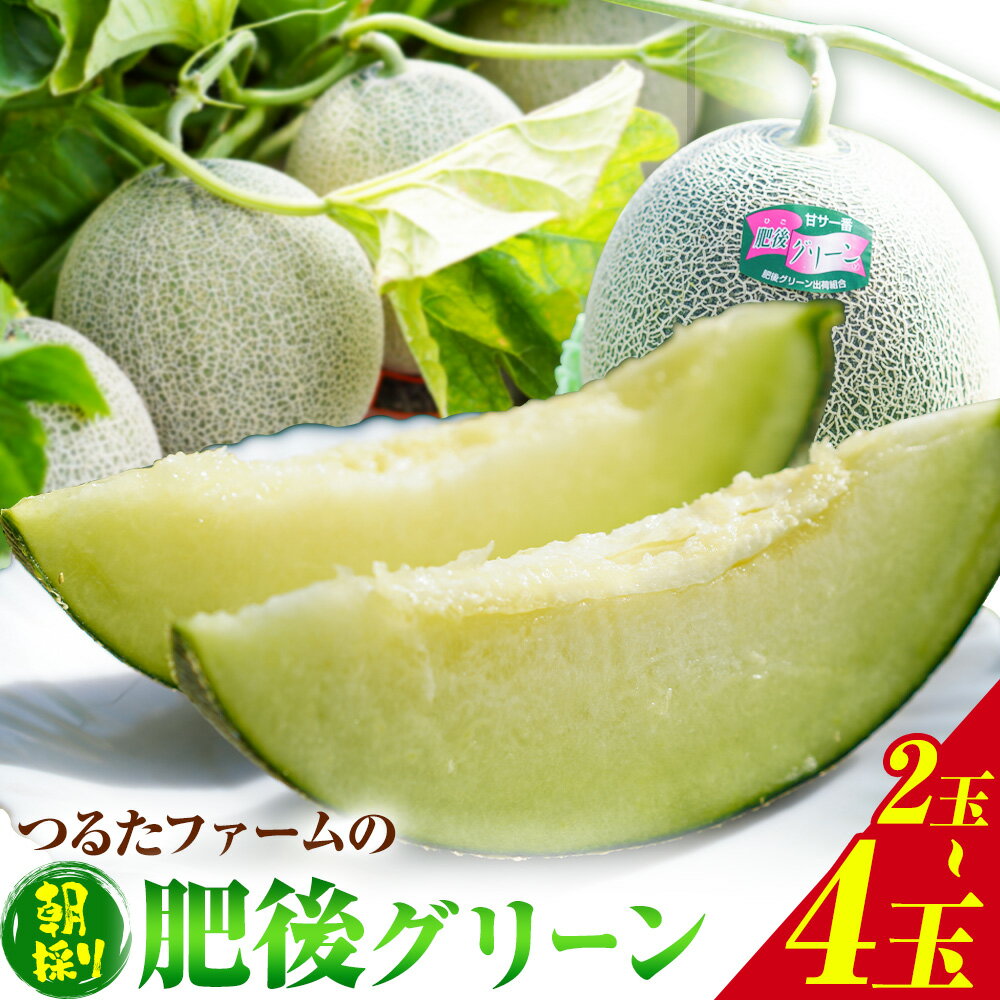 【ふるさと納税】【先行予約】つるたファームの 朝採り 肥後グリーン メロン 1.8kg以上 2玉 または 4玉 株式会社七城の恵み《2026年5月上旬-5月下旬頃出荷》熊本県 菊池市 メロン つるたファーム